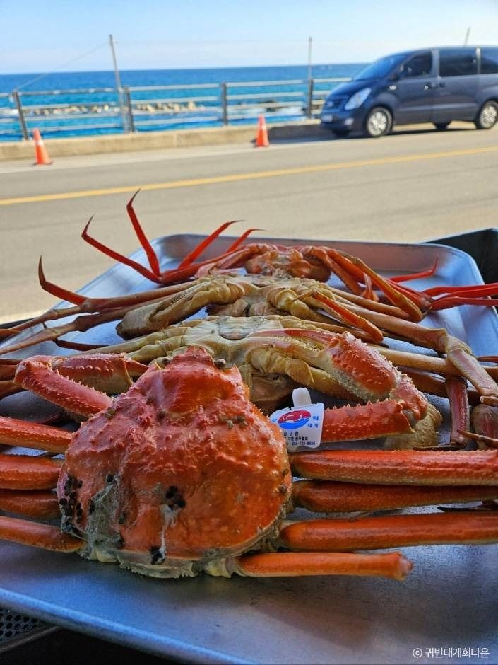2025 영덕대게축제 일정 필수코스 행사정보 대게가격 교통 및 주차 축제장위치 총정리