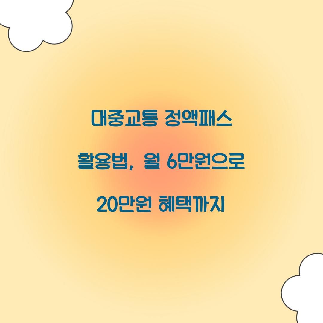 대중교통 정액패스