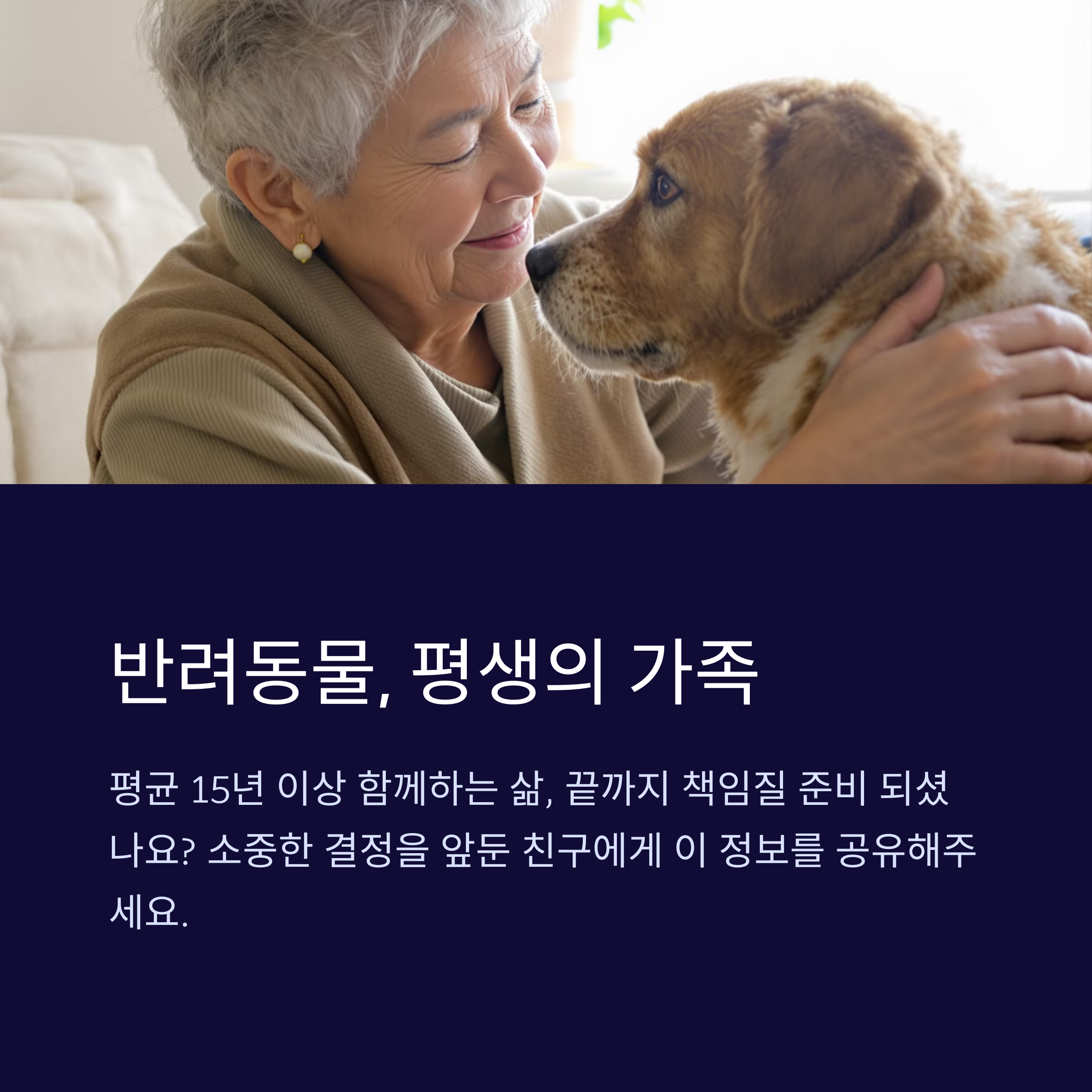 ๋ฐ๋ ค๋๋ฌผ๊ณผ ํจ๊ปํ๊ธฐ ์ ์์์ผ ํ ํ์ ์ฃผ์์ฌํญ ์ด์ ๋ฆฌ