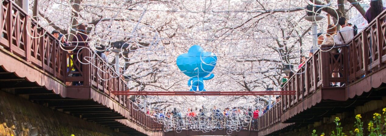 2025진해군항제 벗꽃축제 일정정보 예약하기