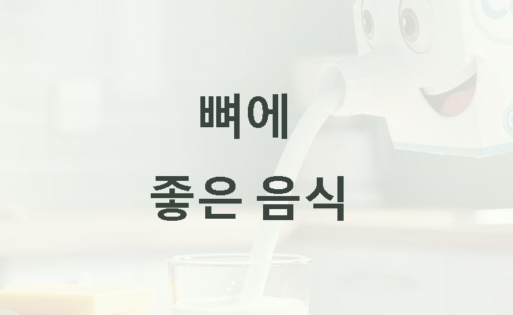 뼈에 좋은 음식
