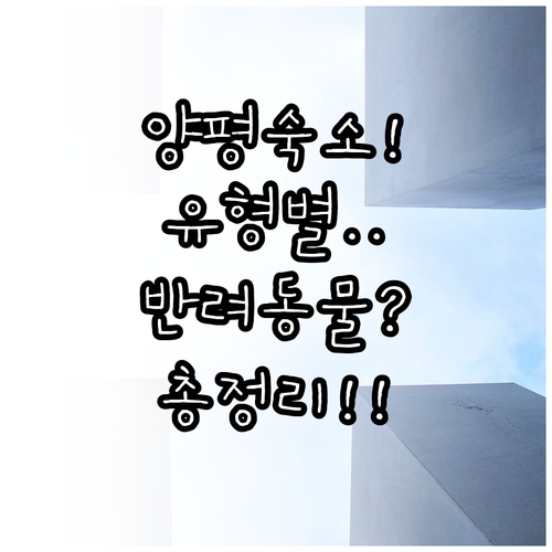 양평 여행 숙소 유형별 특징 정리와 ..