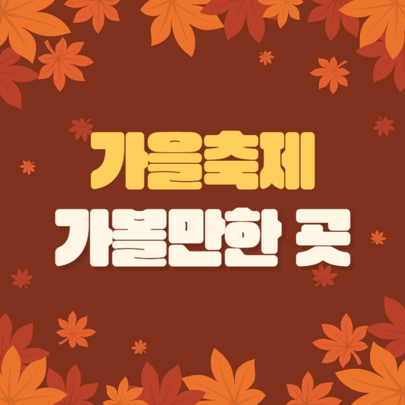 가을 축제 가볼만한 곳 추천
