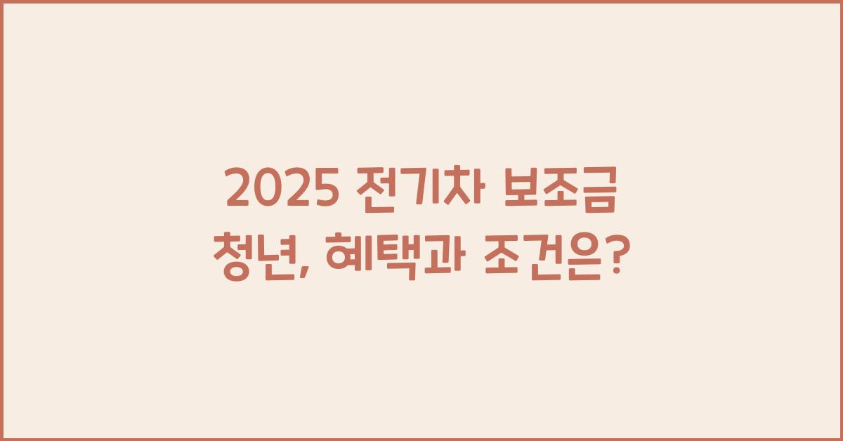 2025 전기차 보조금 청년