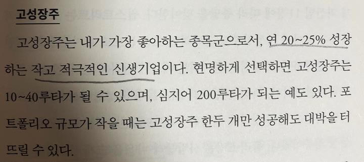 종목선정-고성장주-특징