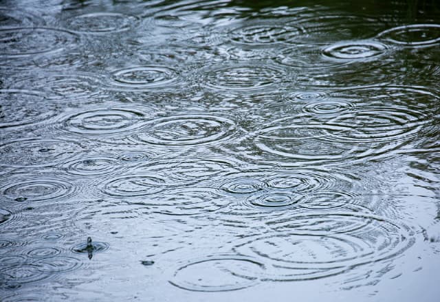 장마철 빗길 중장비 운행, 반드시 알아야 할 안전 수칙