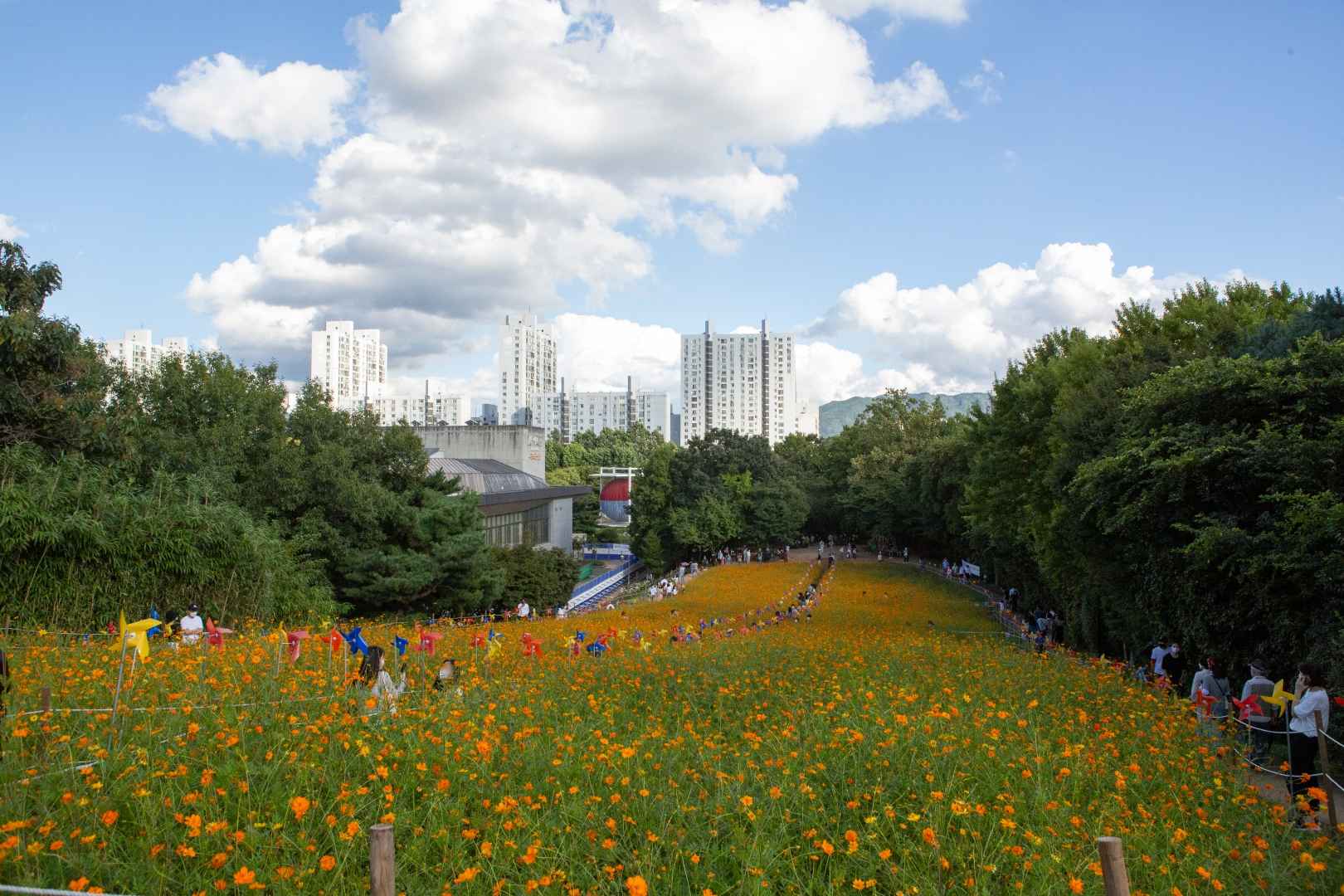 올림픽공원 들꽃마루