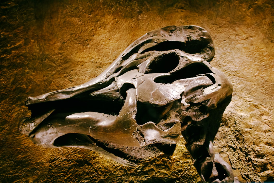 ancestor