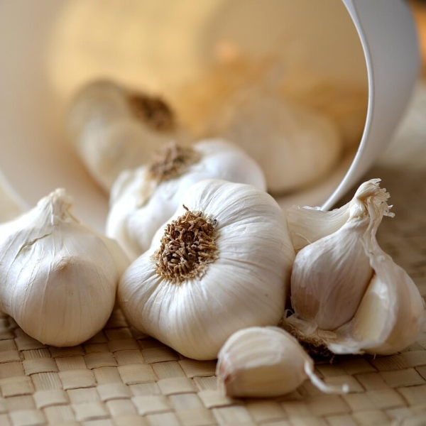 면역력에 좋은 음식 10 사진 3