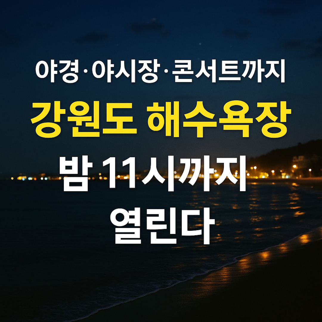강원도 해수욕장 야간 개장 총정리