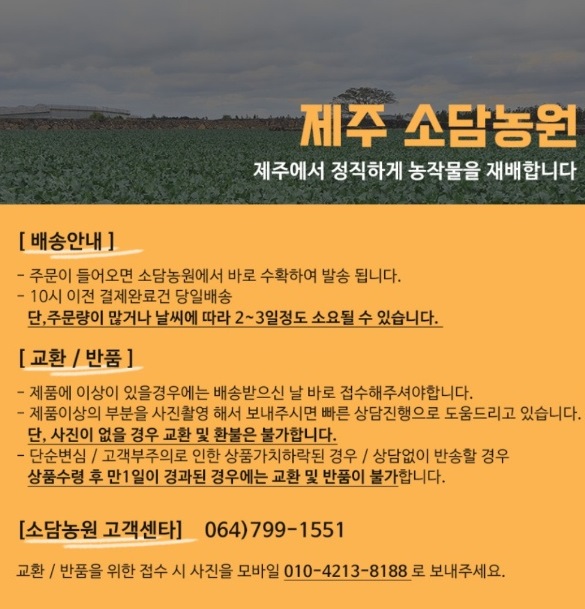 6시내고향-제주-복숭아순무-소담농원