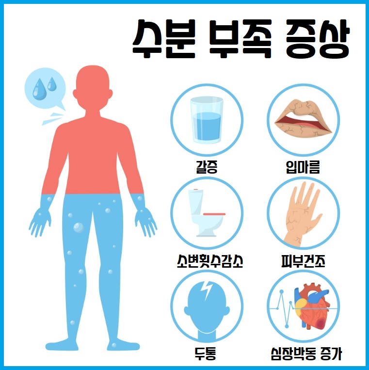 수분 부족 증상