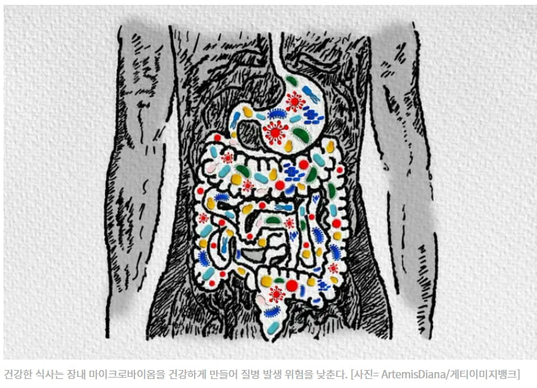 몸 속 미생물 우리에게 유익한가?...밥 굶기지 말아야