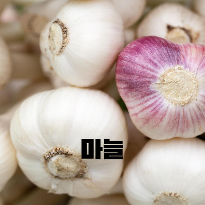 마늘 심는 시기와 효능