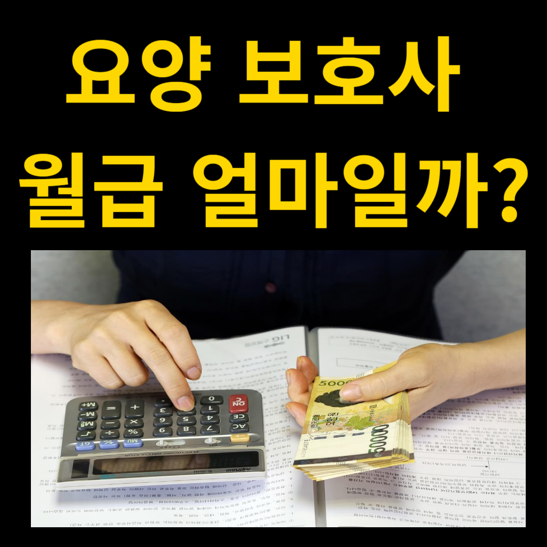 요양보호사 월급 진짜 얼마일까? 실수령액과 수당 꿀팁 총정리