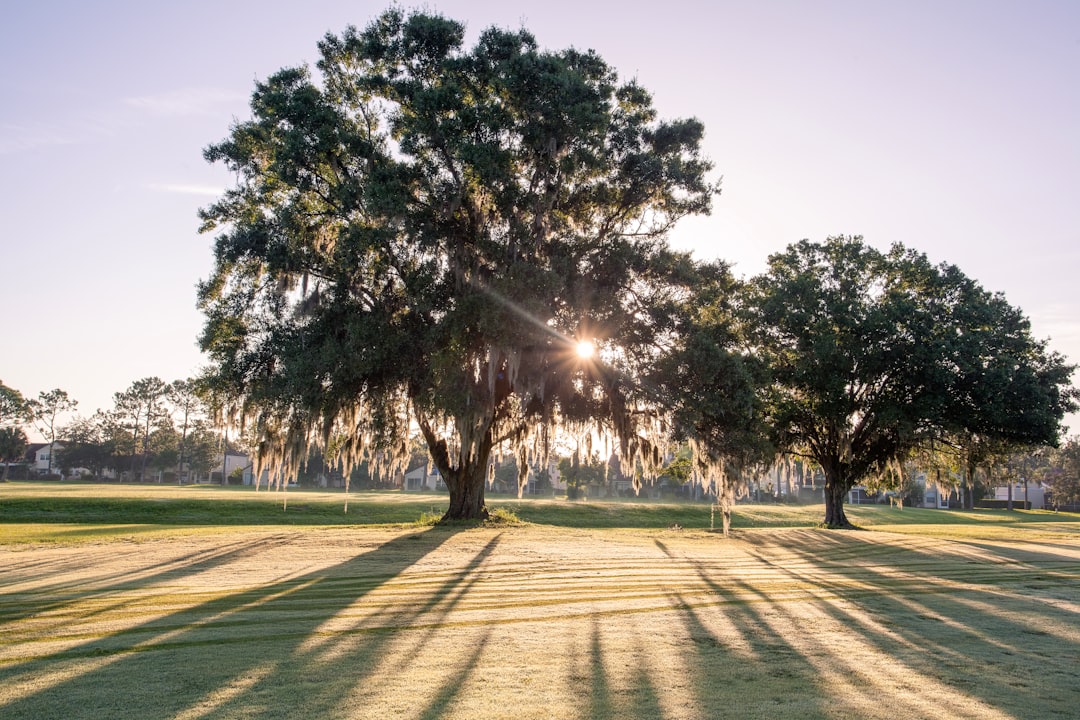 Park Golf