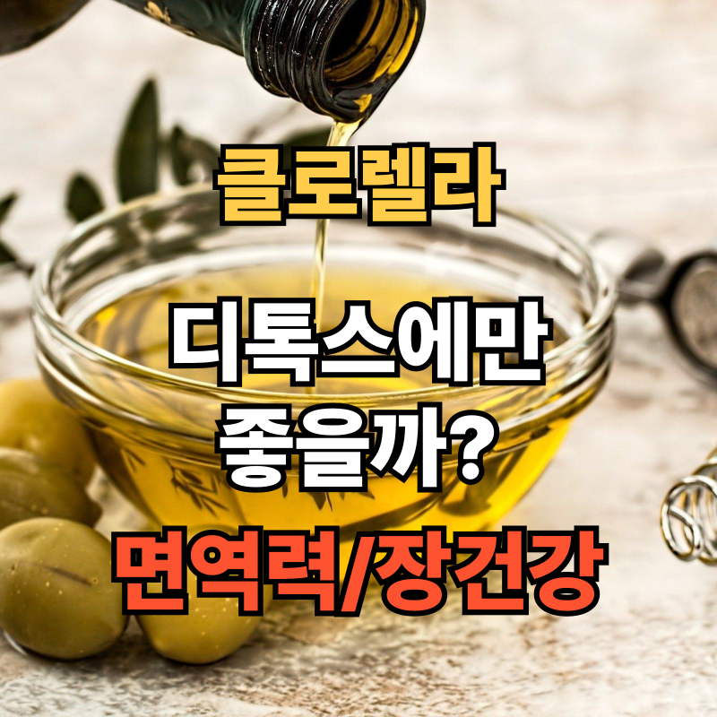 🌿 클로렐라 효능과 부작용, 복용 팁까지 총정리!
