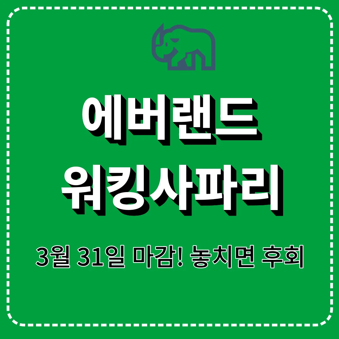 에버랜드 워킹사파리