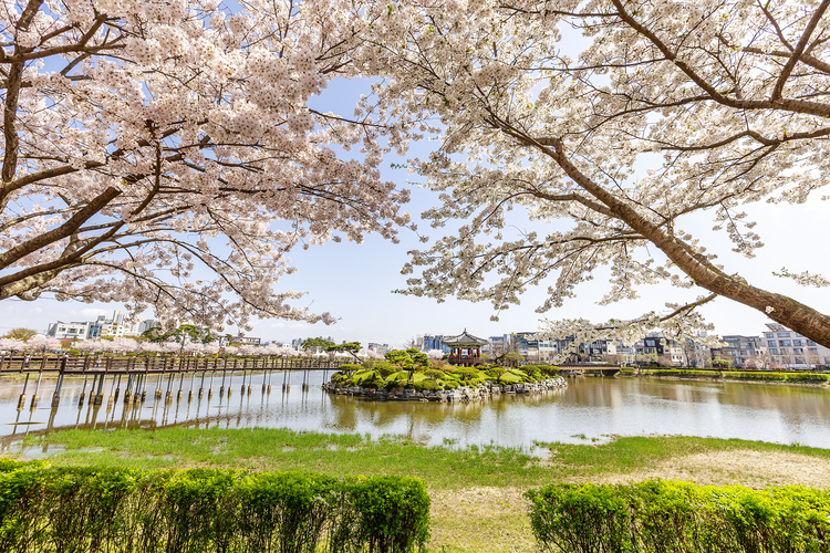 서산 중앙호수공원