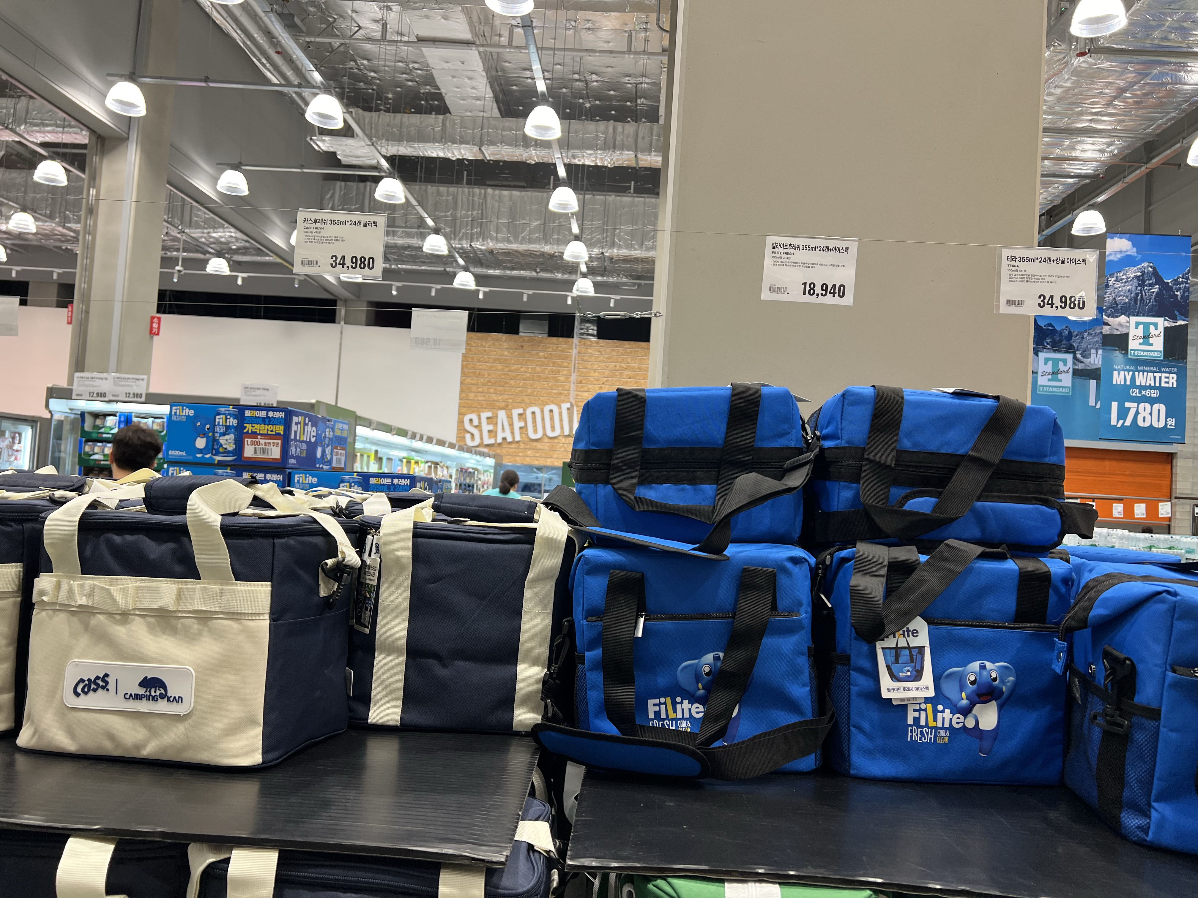 테라 캉골 아이스백