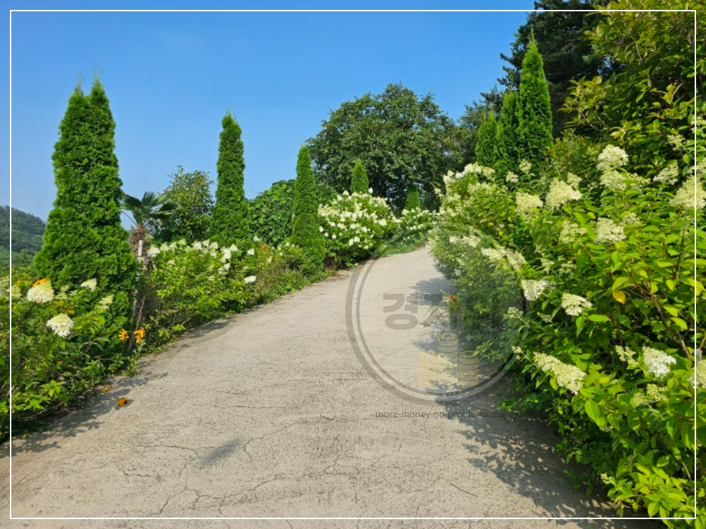 나는솔로-22기-촬영장소