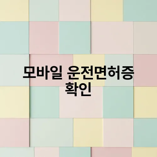 모바일 운전면허증 확인