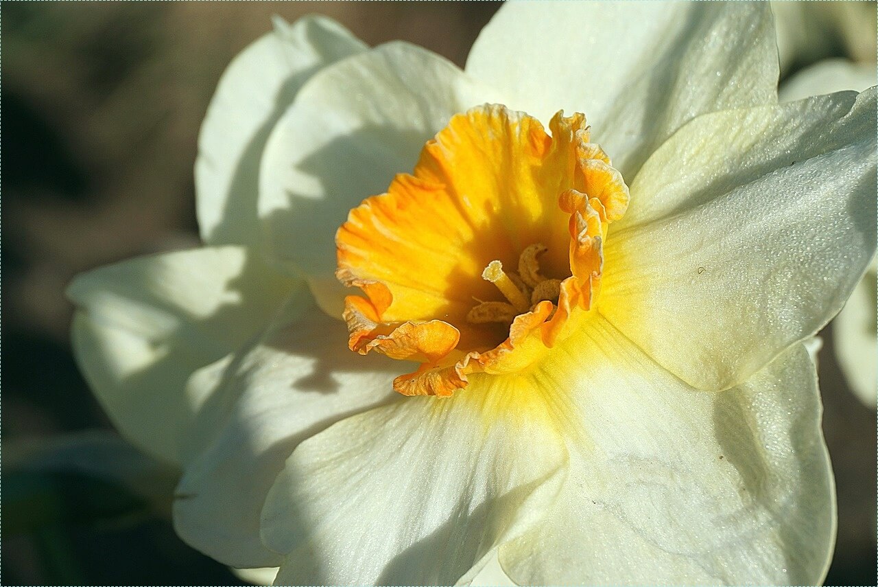 은행 적금 이자 높은곳
