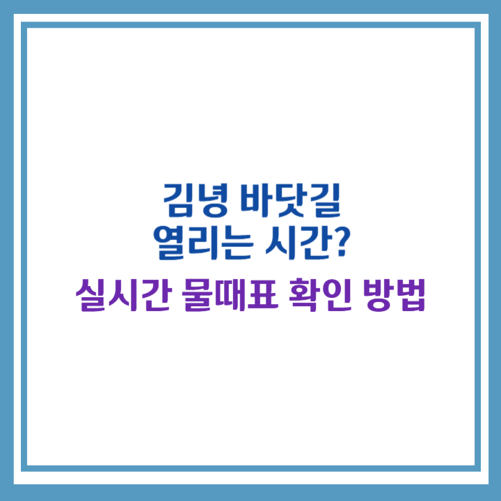 김녕 바닷길 물때표