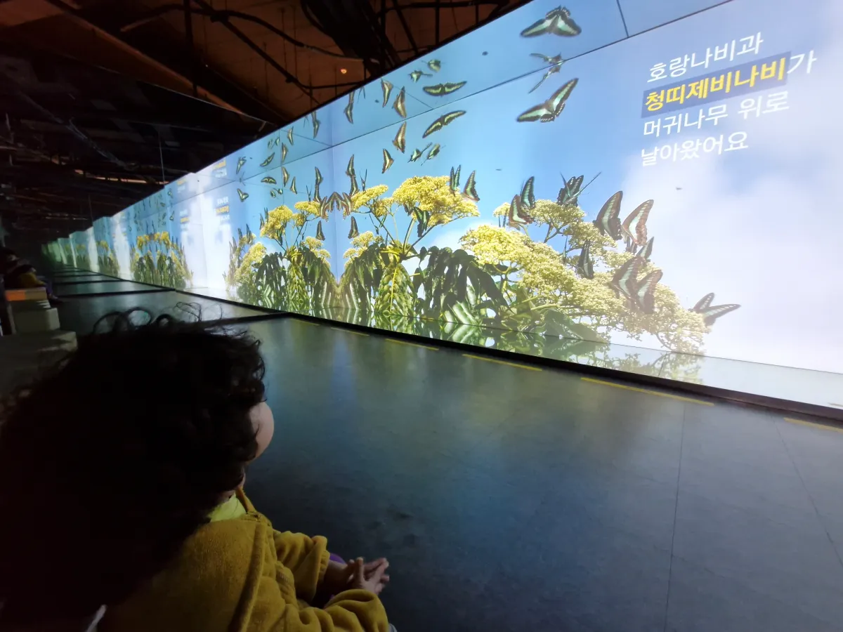 호랑나비-설명을-듣고-있는-아이