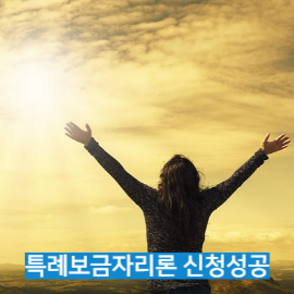 특례보금자리론 17