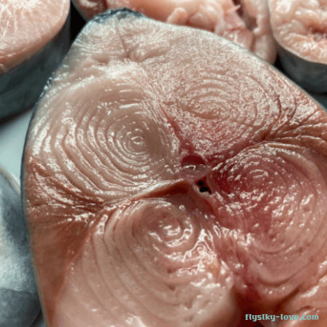 오메가 - 3 풍부한 가다랑어