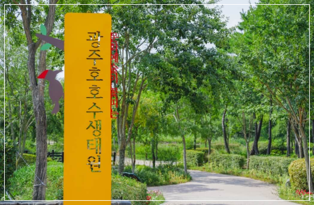 광주 가볼만한곳 베스트10 광주호 호수생태원