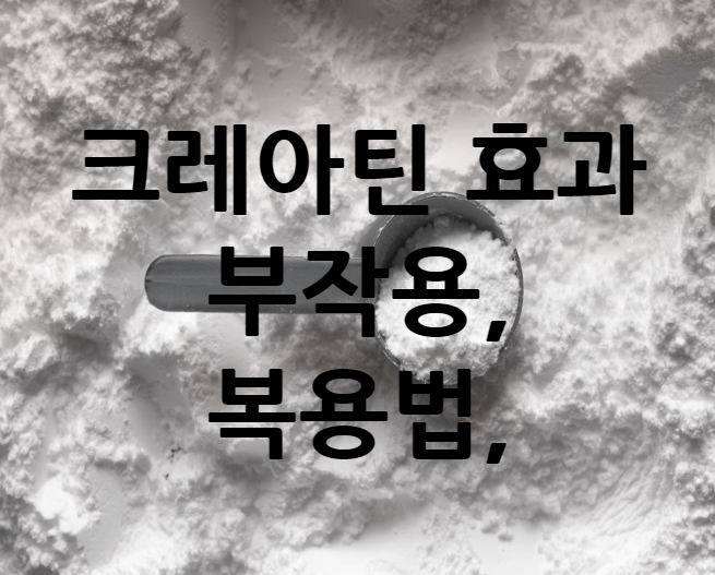 크레아틴 효과 부작용, 복용법