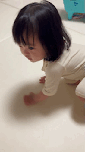 악어떼