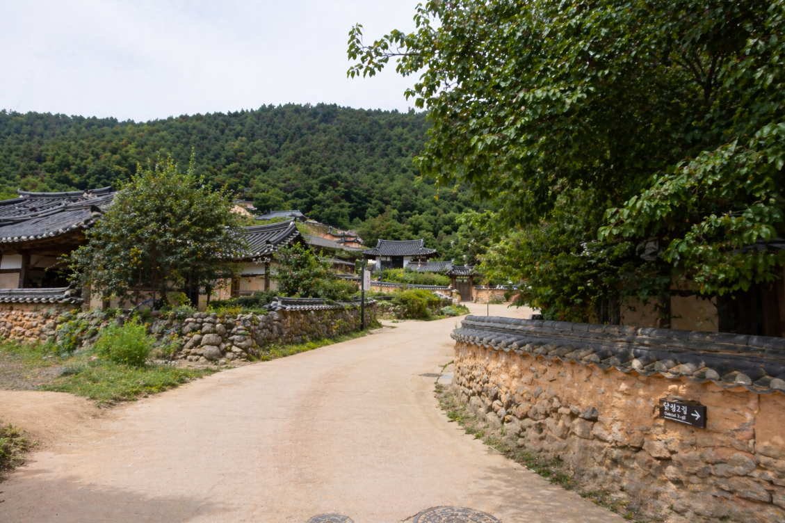 봉화 닭실마을의 한옥 지붕과 돌담길, 고즈넉한 전통 마을 분위기가 보이는 모습
