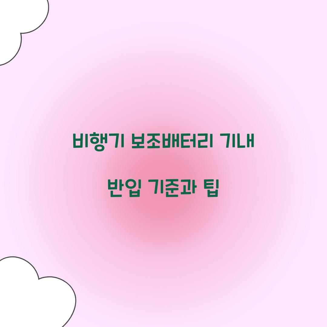 비행기 보조배터리