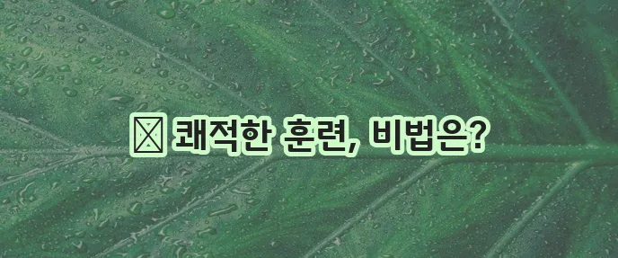 강아지 배변 패드 훈련과 위생을 위한 최고의 선택이죠!