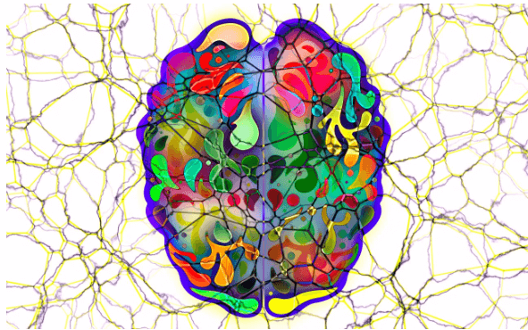 자기비판과 자기이해