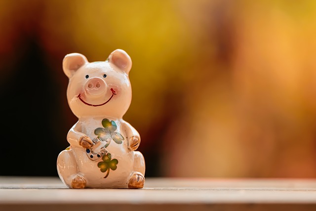 2024년 돼지띠 운세