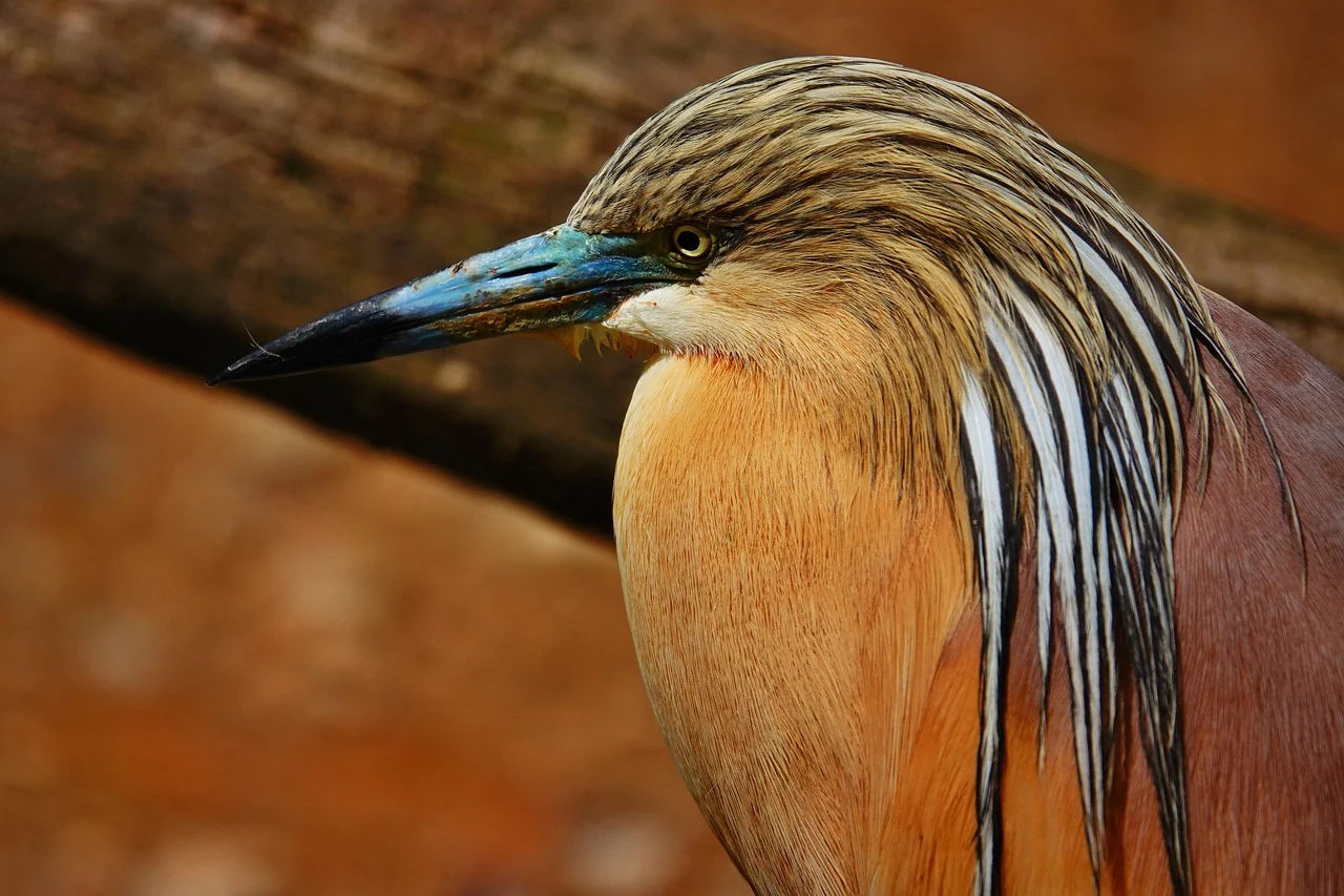 송파구 9시 이후 늦게까지 운영하는 맛집 Best4