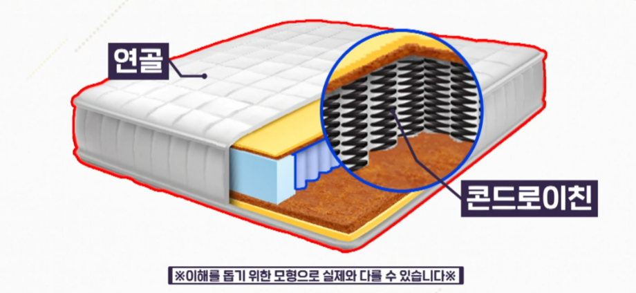 콘드로이친