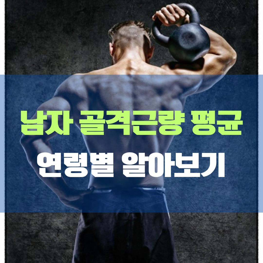 남자 골격근량 평균 20대부터 50대까지 연령별 알아보기