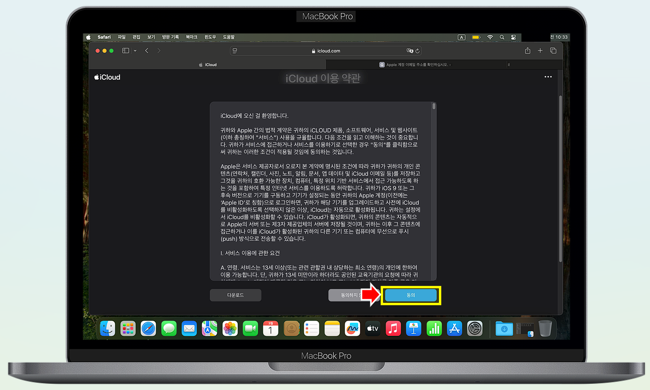 iCloud 이용 약관에 동의해 주세요.