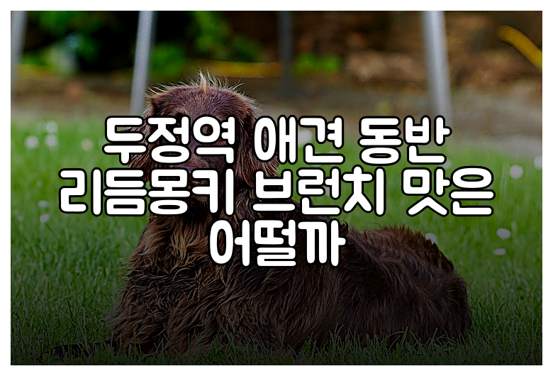 두정역 애견 동반 리듬몽키 브런치 맛은 어떨까