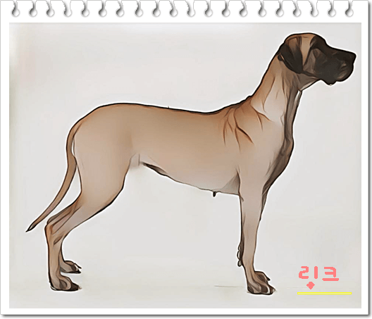안녕soni