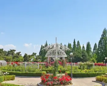 고양 꽃박람회_15