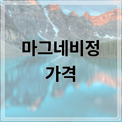 마그네비정 가격