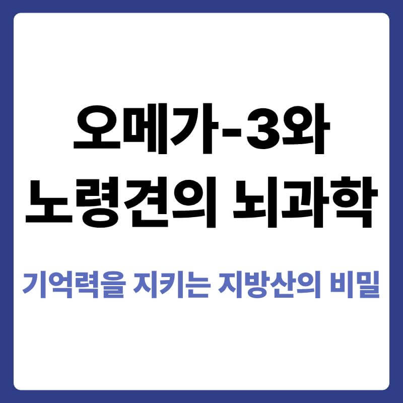 반려견의 뇌 세포막 구조와 오메가-3 지방산이 노령견의 인지 능력 및 기억력 유지에 기여하는 원리를 설명하는 안내 이미지