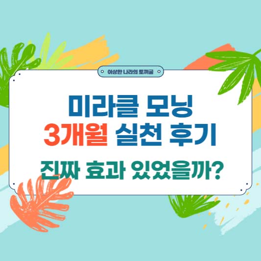 미라클 모닝 3개월 실천 후기 : 진짜 효과 있었을까?