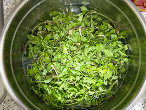 시든 채소를 설탕물과 50도 세척법으로 싱싱하게 되살리는 과정